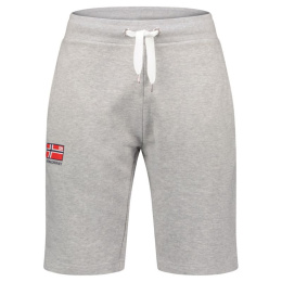 Geographical Norway šortai