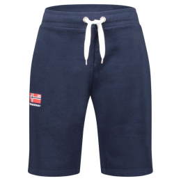 Geographical Norway šortai